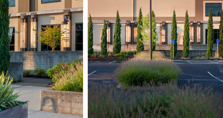 Coffee Bean International Mackenzie