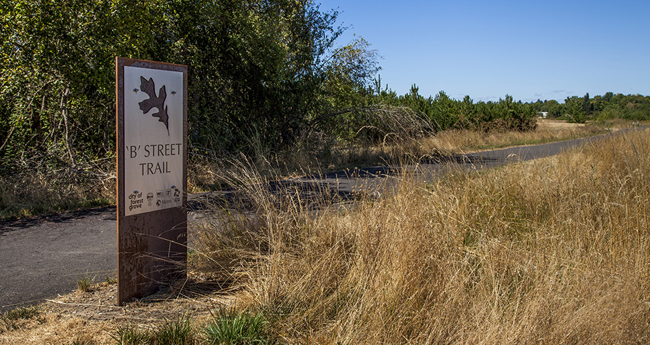 B Street Trail Mackenzie